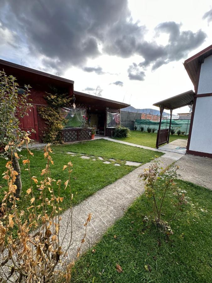 Casa Rares Buşteni Eksteriør billede