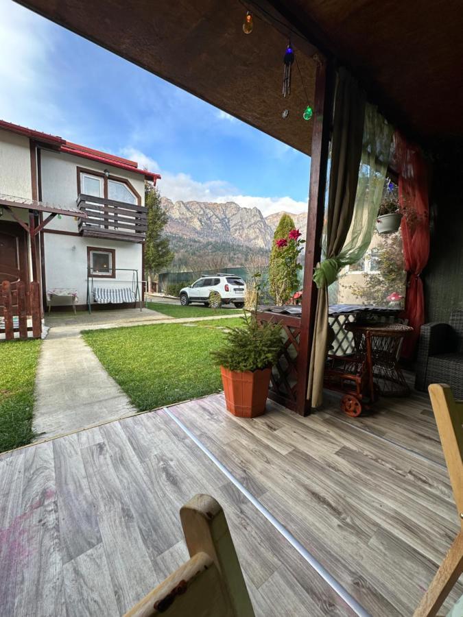 Casa Rares Buşteni Eksteriør billede